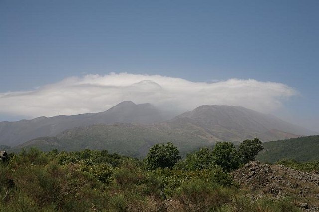 IMG_4503.JPG