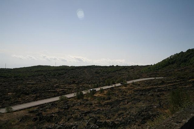 IMG_4510.JPG