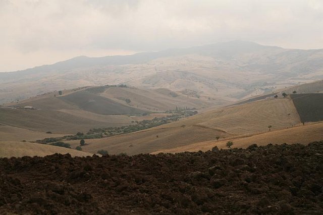 IMG_4438.JPG
