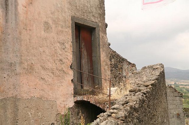 IMG_4451.JPG