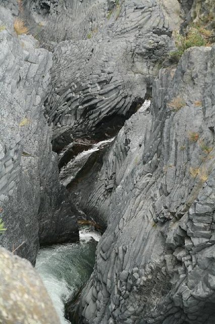 IMG_4468.JPG