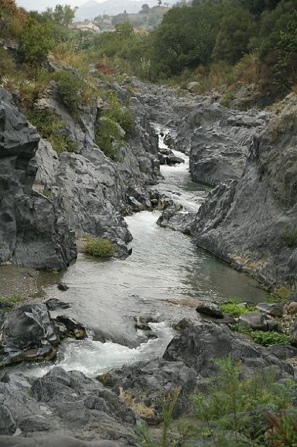 IMG_4473.JPG