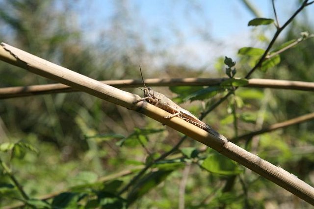 IMG_4830.JPG