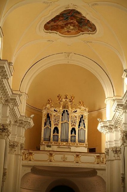 IMG_4884.JPG