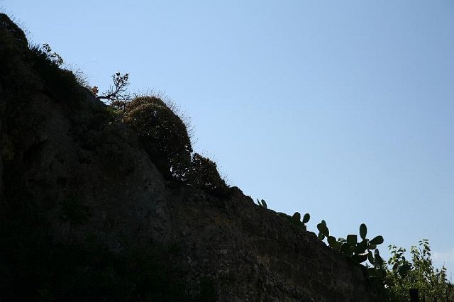 IMG_5099.JPG