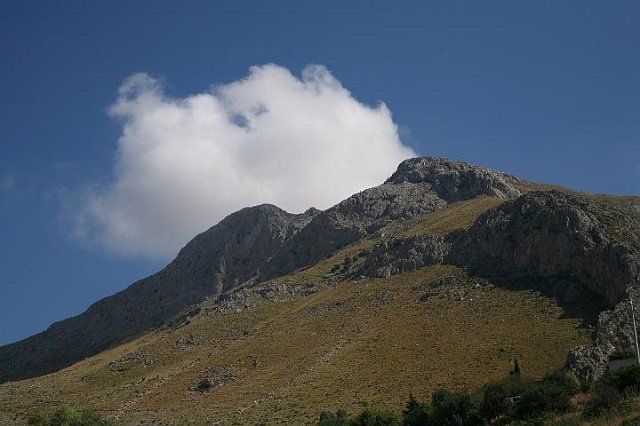 IMG_5117.JPG