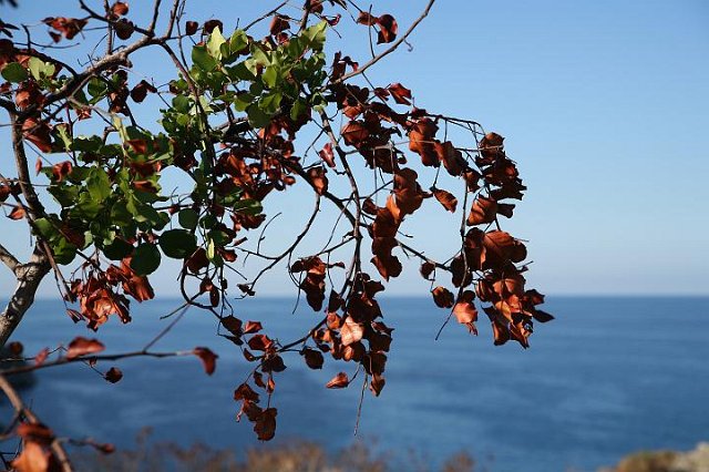 IMG_5247.JPG