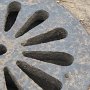 IMG_1232