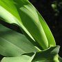 IMG_1347