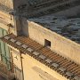 IMG_1383