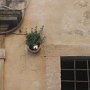 IMG_1400