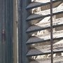 IMG_1457