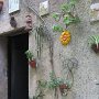 IMG_1462