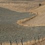IMG_4410