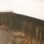 IMG_4432