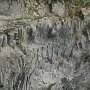 IMG_4480