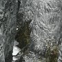 IMG_4484