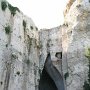 IMG_4707