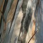 IMG_4720