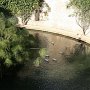 IMG_4729