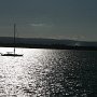 IMG_4733