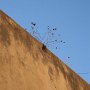 IMG_4740