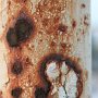 IMG_4790