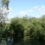 IMG_4859