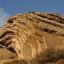 IMG_4981