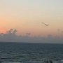 IMG_5028