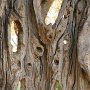 IMG_5063