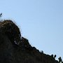 IMG_5099