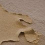 IMG_5152