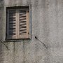 IMG_5169
