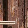 IMG_5189