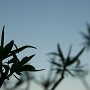 IMG_5284