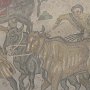 IMG_1407